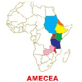 partner-amecea